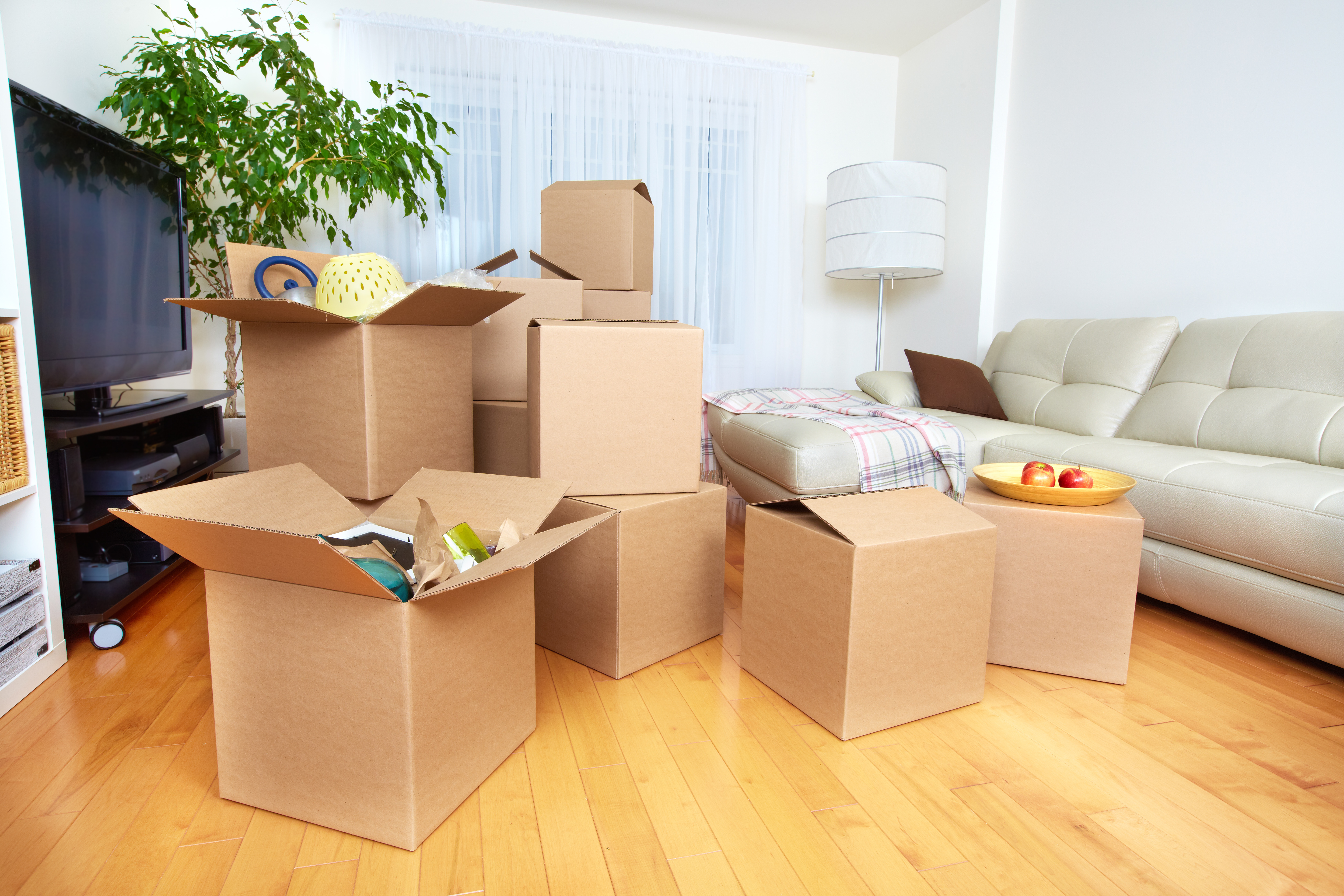 removals and relocations